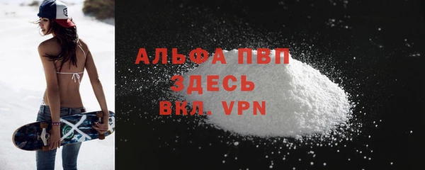 спиды Липки