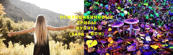 первитин Лиски