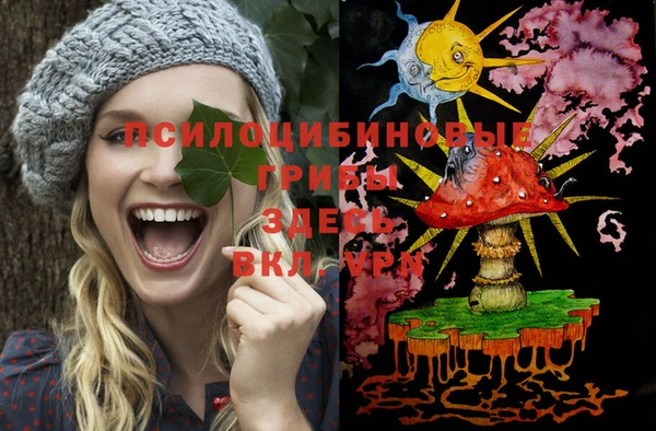 первитин Лиски