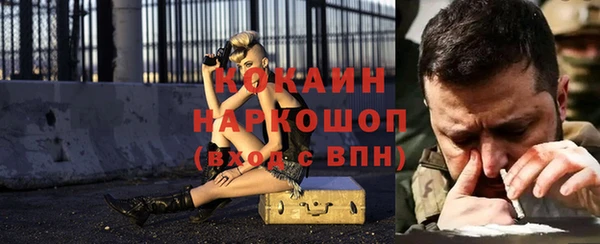 первитин Новодвинск