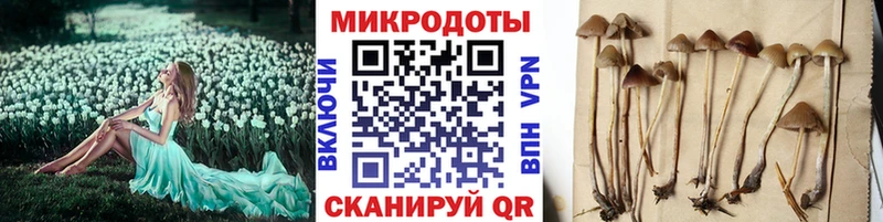 Псилоцибиновые грибы Psilocybe  ссылка на мегу   Грозный 