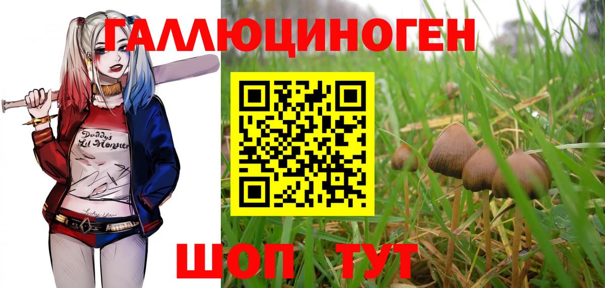Псилоцибиновые грибы MAGIC MUSHROOMS Грозный