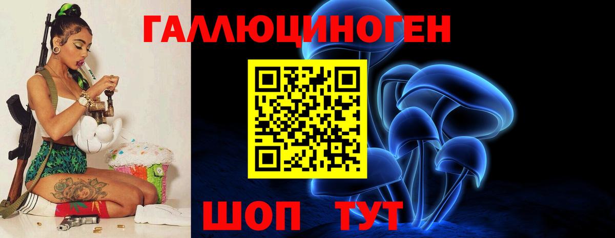 Грозный  Псилоцибиновые грибы Psilocybine cubensis  Вход с VPN 