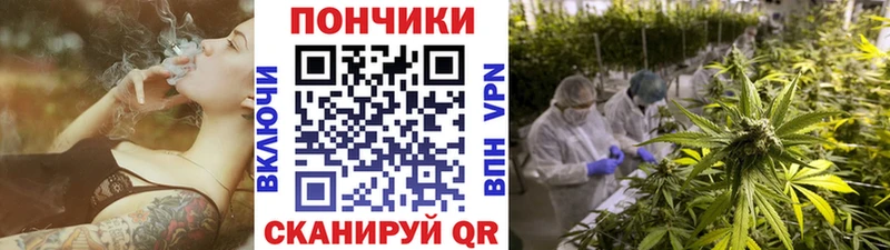 omg рабочий сайт  Грозный  Канабис конопля 